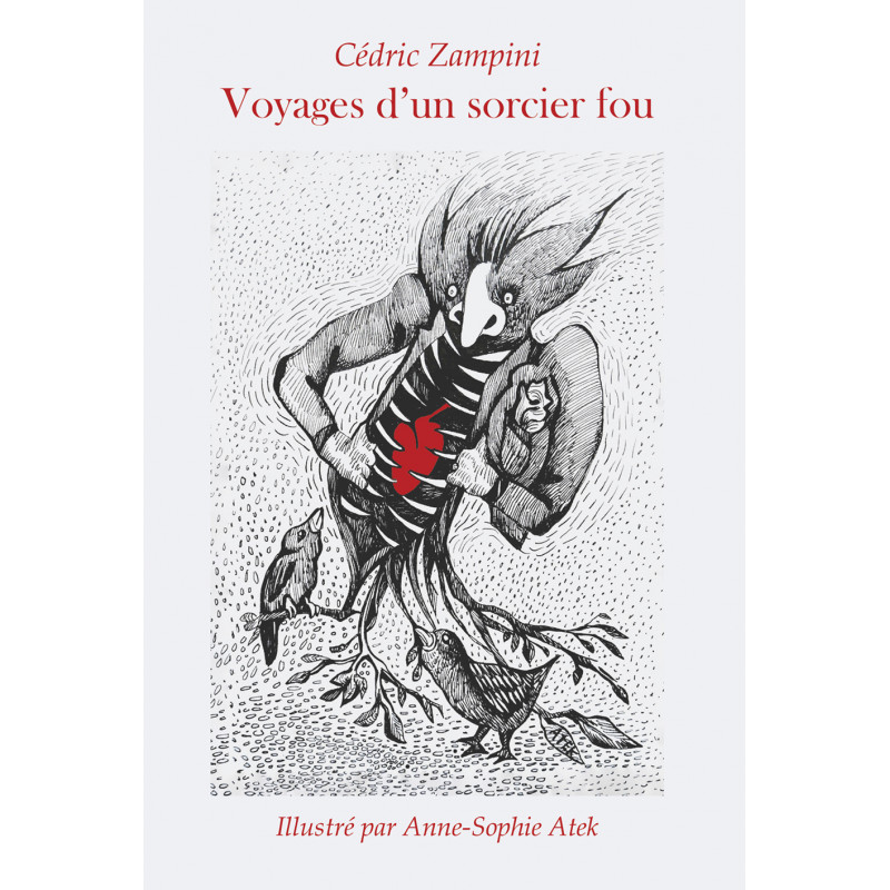 Couverture de Voyages d'un sorcier fou